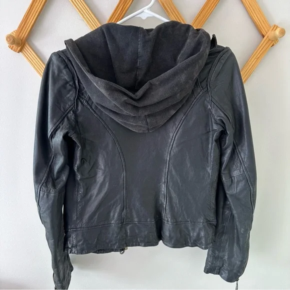 DOMA leather jacket - Picture 5 of 5